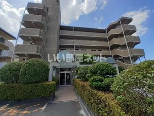 ASTIC ASADAの画像