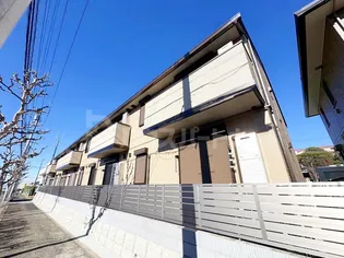 グレイスマチハタの画像