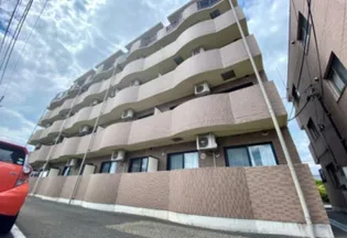 プリーマの画像