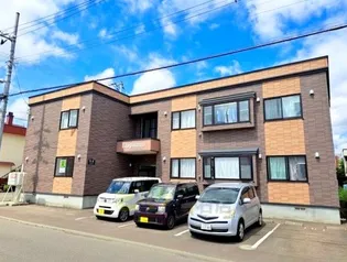 ルピナスの画像