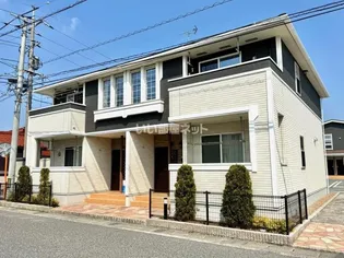 シーバスの画像