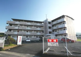 フィルドの画像