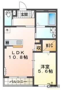 コイトハイツ【1階】の間取り