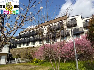 ベラヴィスタ西坂の画像