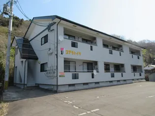 コアラハイツの画像