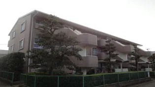 ベルハイム木の宮【3階】の外観