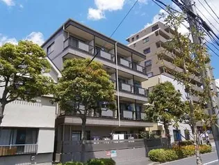 アムール須賀の画像