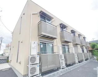 GOLDEN GOOSEの画像