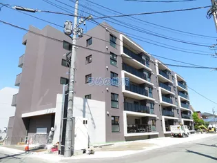 ボワットノワールの画像