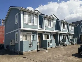 はなみずきの画像