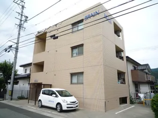 シャルマン曙の画像