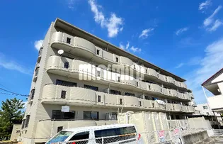 パラサンピア IIの画像