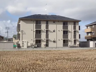 プリムローズの画像