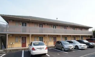 C'EST LA VIE Eの画像