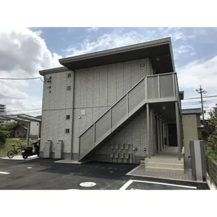 AMBER HILLSの画像