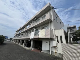 ロードパレスIIの画像