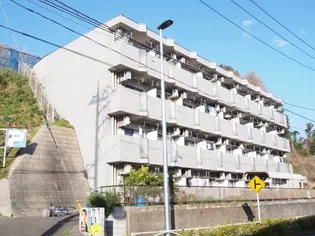 Uハイム向ヶ丘【2階】の外観