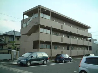 オレンジコートの画像