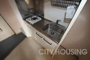 DUGOUT310【3階】のキッチン