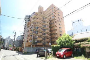 ダイアパレス新内町【3階】の外観