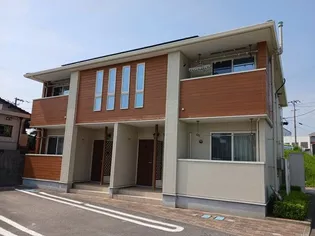 なでしこの画像