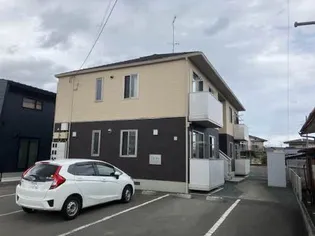 パピヨンの画像