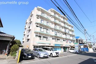 ソシアグリーンオークの画像