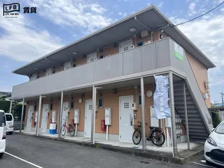 サンチェリーの画像