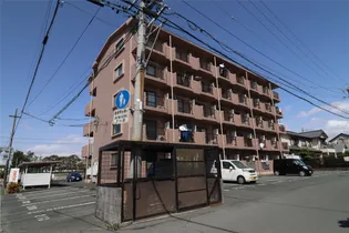 エザンスの画像