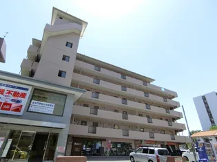 ロイヤルミサワ【5階】の外観