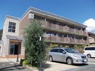 アフェリア Eの画像