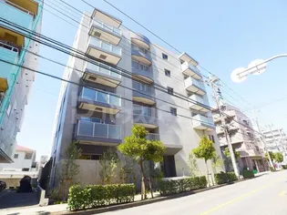 SUNNY SIDE FORESTの画像