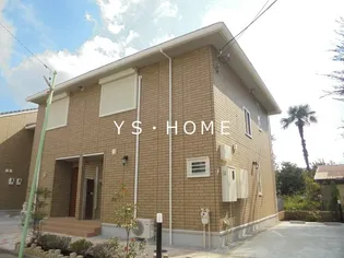 カトレア ヴィオレの画像