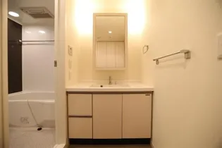 プライムメゾン大通公園【9階】の内装