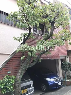 東京都文京区本駒込5【一戸建】の外観