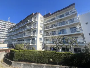 ルネ立石の画像