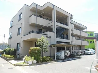 フォルテーヌの画像