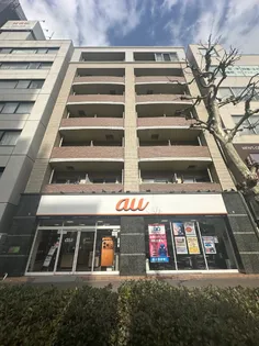 ドムステラの画像