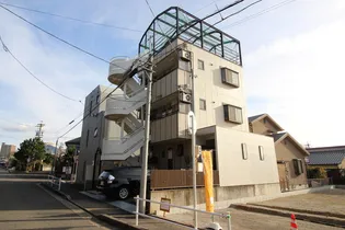 ニュー高貴の画像