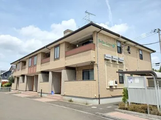 セフィオ グレースCの画像