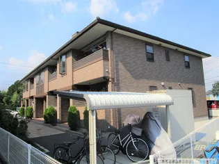 ハイ ペアの画像