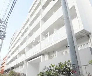 リエトコート向島の画像