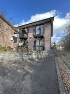 ハーブミントの画像