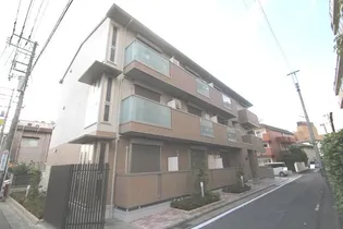 BROWN TABBYの画像