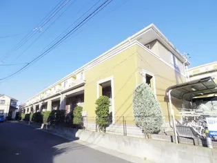 グリーンソレアードの画像