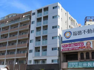 ジプソフィラの画像