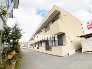 ドリームズ カム トゥルーの画像