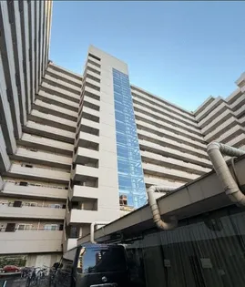 ウィンザーハイム南砂【12階】の外観