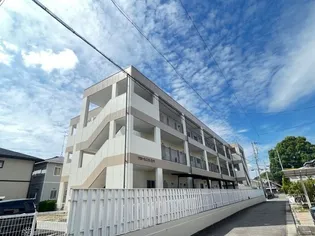 フローレンスシバの画像