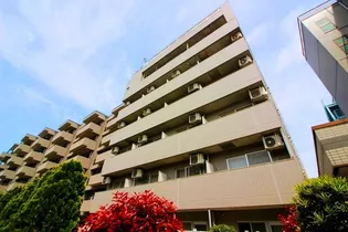 エルマーノの画像